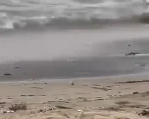 Full clip làm gì tui cũng không biết ở sầm sơn =)) hè rồi ae đi du lịch đi thôi